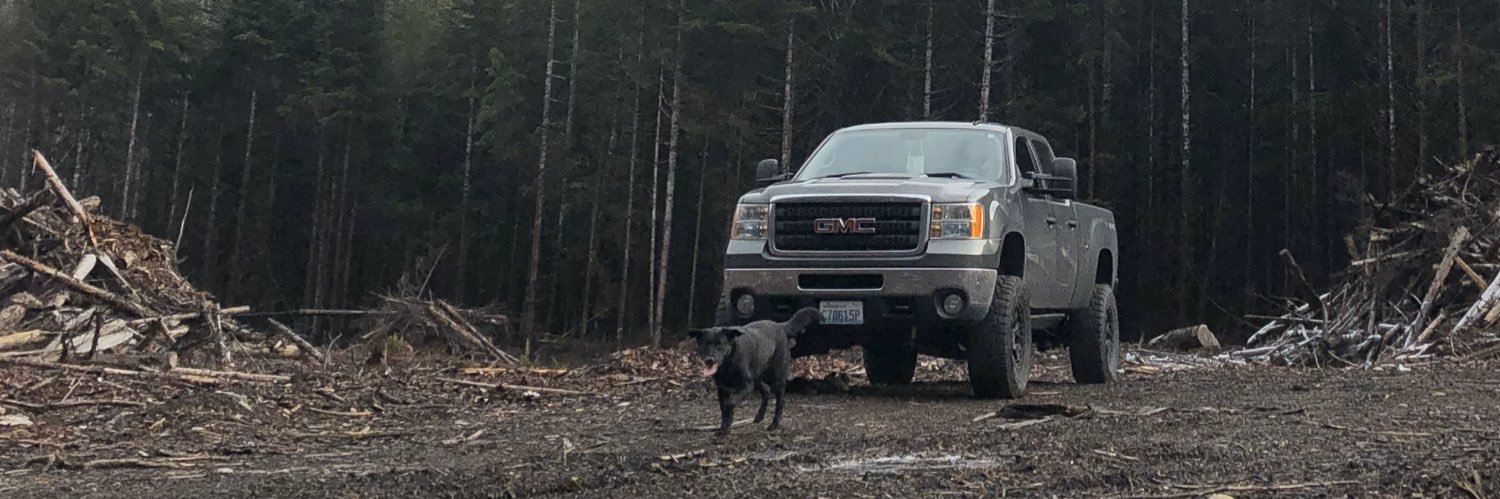nemski68's profile banner image