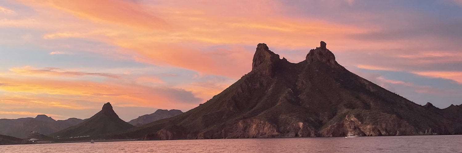 Iliana_Duarte's profile banner image
