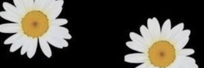 firllysp's profile banner image