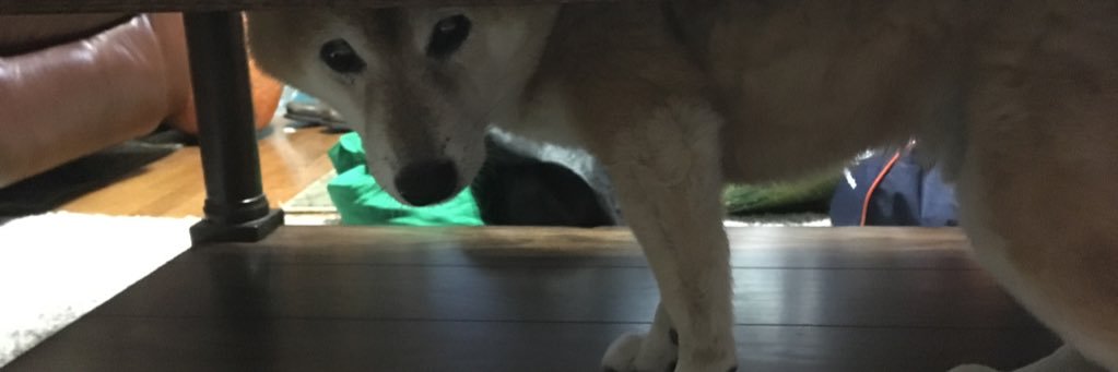 WinkerAngel's profile banner image