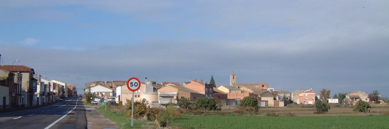 Esther Piqué banner