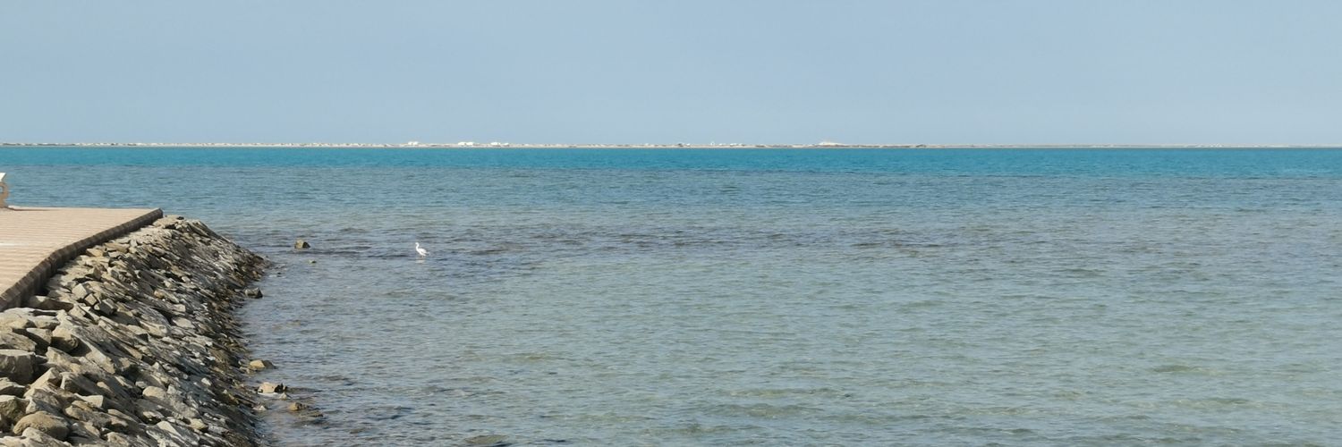 aboalbra343's profile banner image