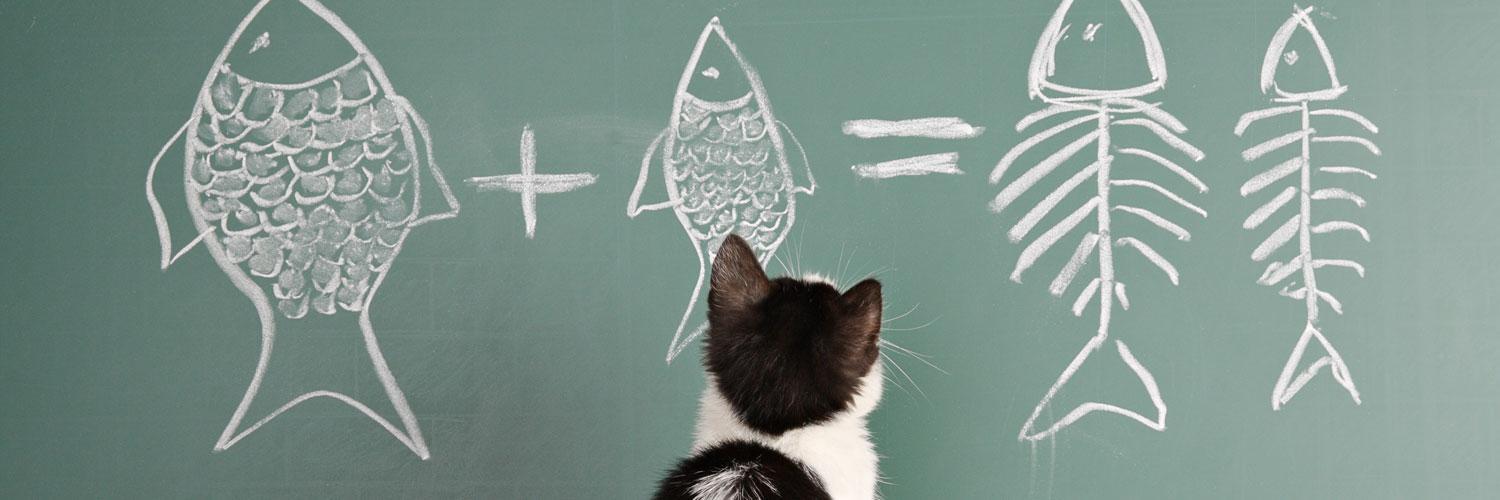 Get Education banner