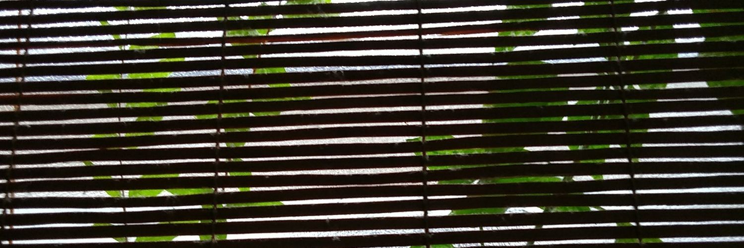 ferliezaa's profile banner image