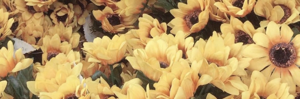 snrlaini's profile banner image