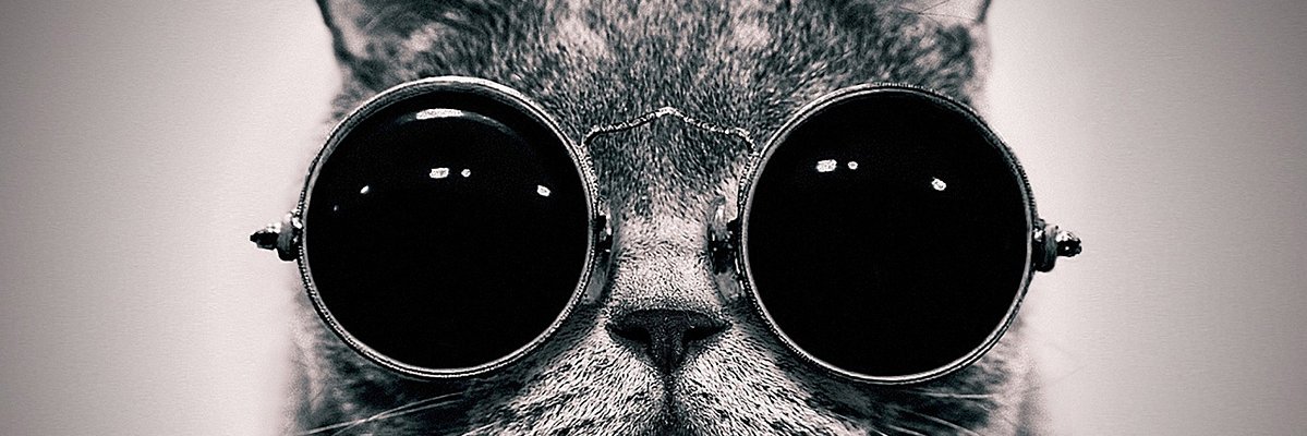 meliaaadp's profile banner image