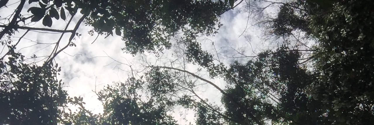 Miennn_'s profile banner image