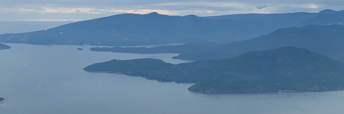 NotAverageBearr's profile banner image