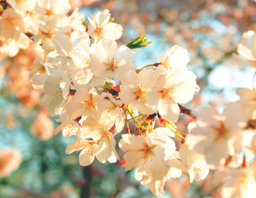 lovelytrust's profile banner image