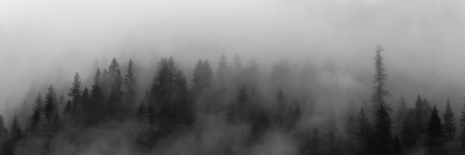 prhntr's profile banner image