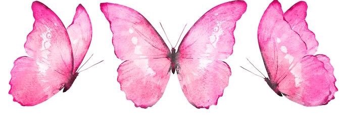StephanieLou_W's profile banner image