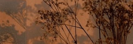 schampitt's profile banner image