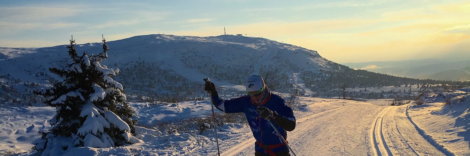 Morten Odsæter banner