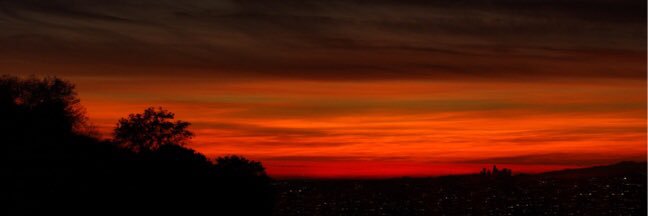 Scott Shimamoto banner