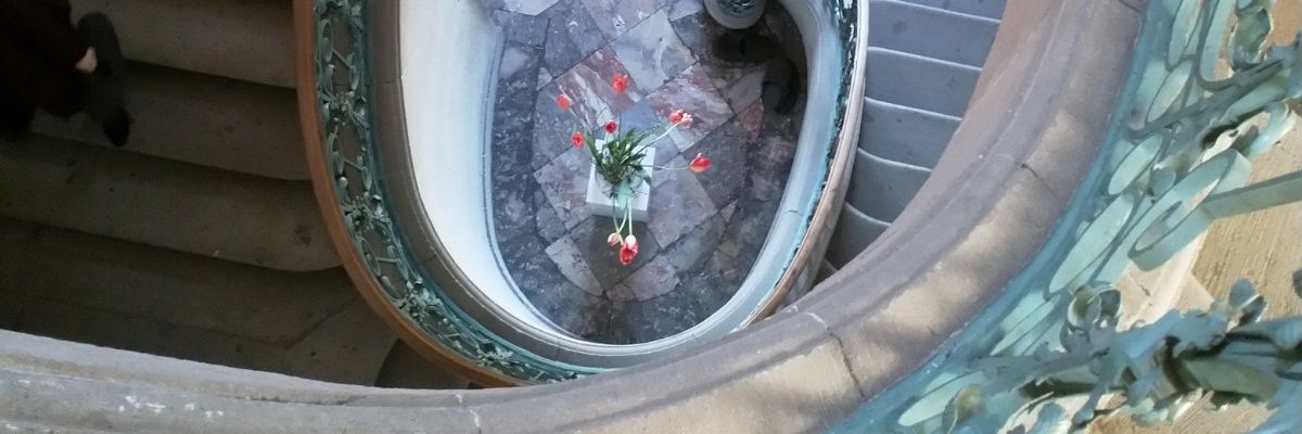 Berg_Freundin's profile banner image