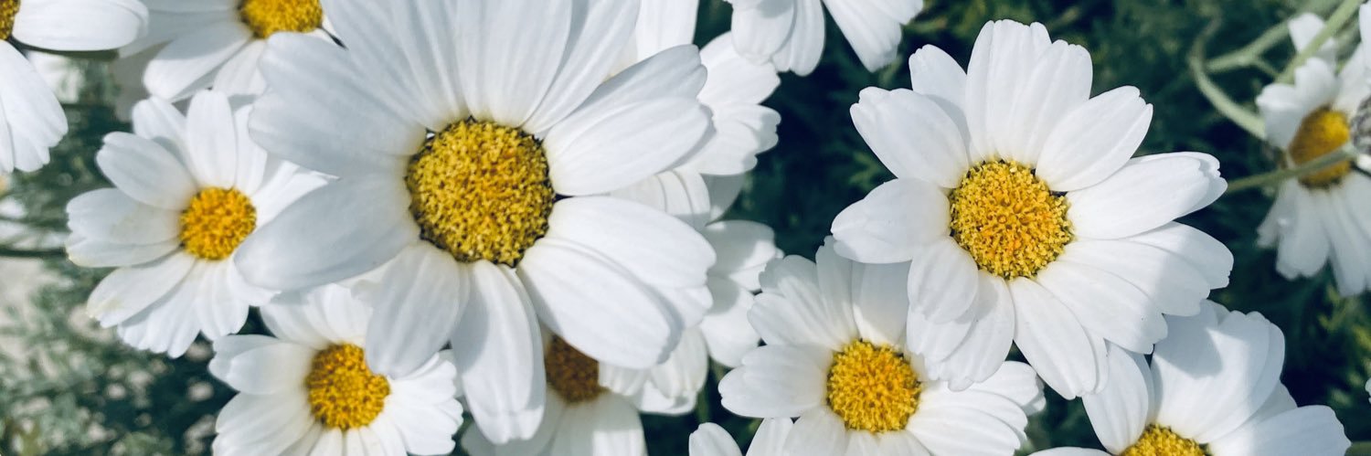 はっち banner