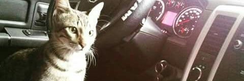 Fernando_Cbrera's profile banner image