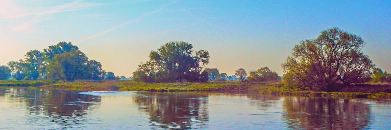djhiom's profile banner image