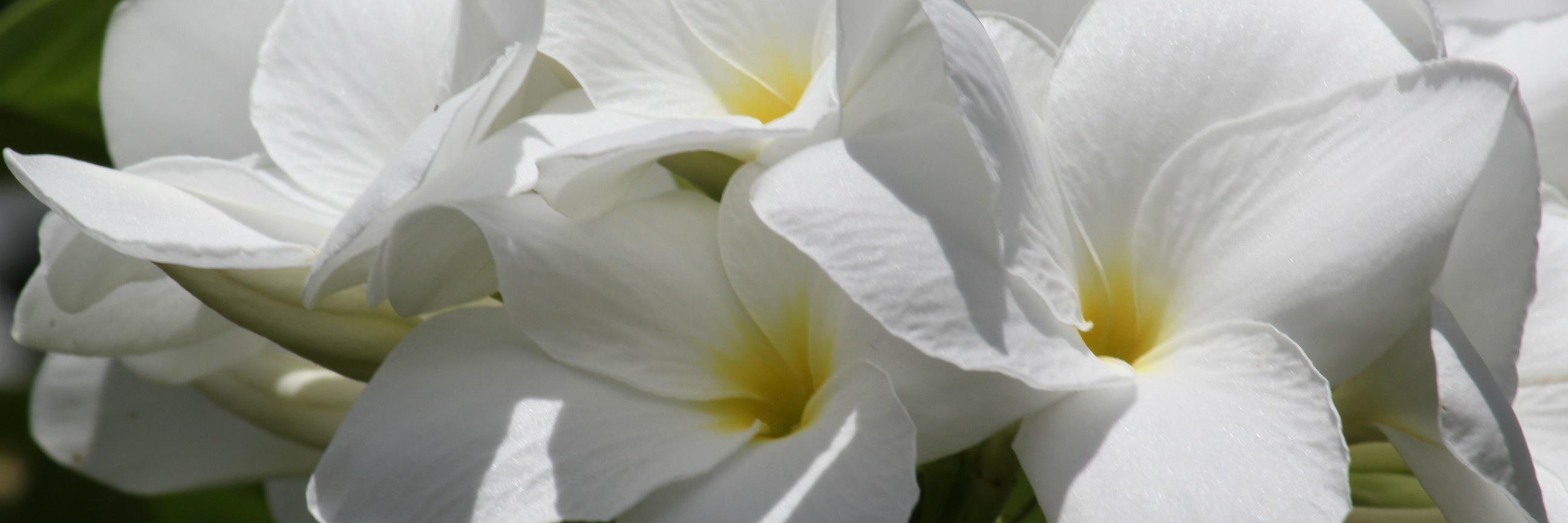 AndreaHagan's profile banner image