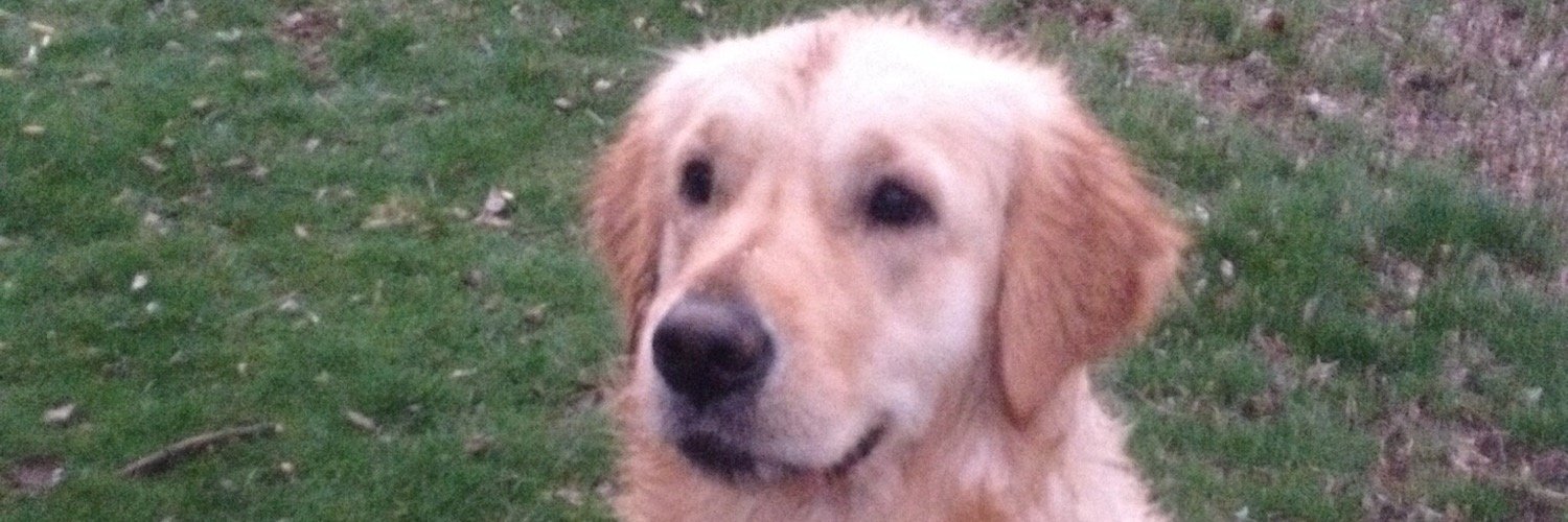 cesarmaoo's profile banner image