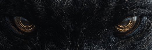 TheeLasMan's profile banner image
