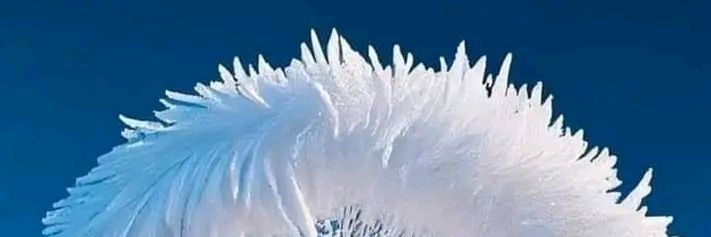 cimibkoo's profile banner image