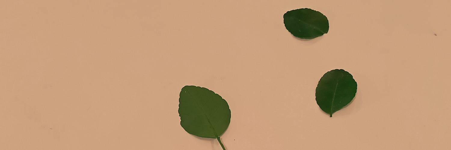 MotherOPedia's profile banner image