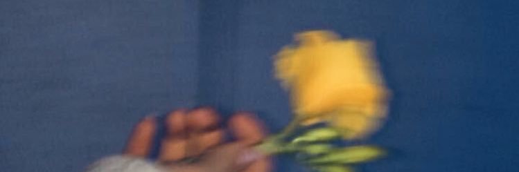 oceanelbsr's profile banner image