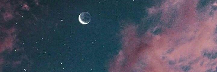 nandtania's profile banner image