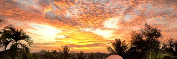 tweetsbyshree Profile Banner