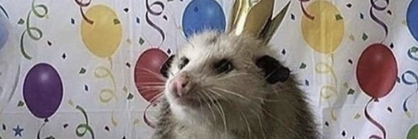 maddyeide's profile banner image