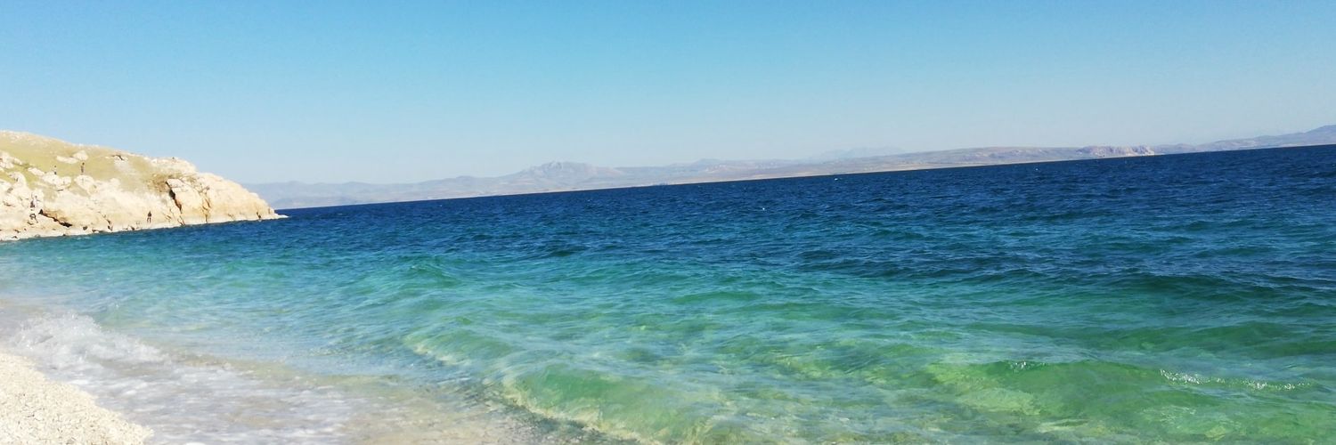 alkachhh's profile banner image