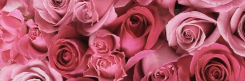 meg_walton_'s profile banner image