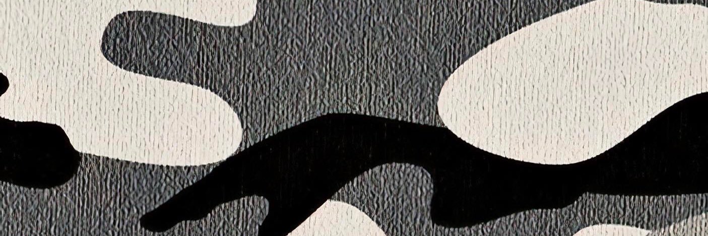 session843's profile banner image