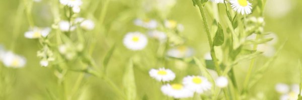 aummyk Profile Banner