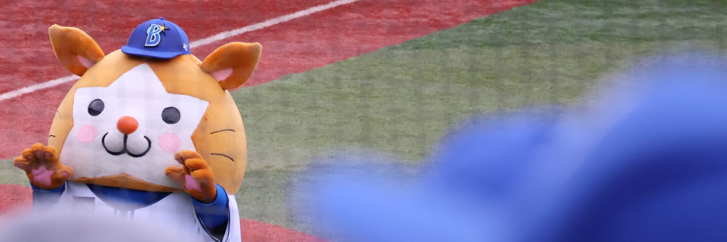 9_pippippi's profile banner image