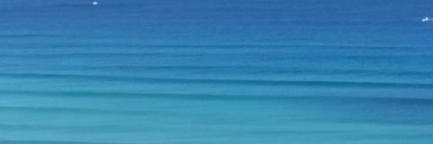 tsuru2222's profile banner image