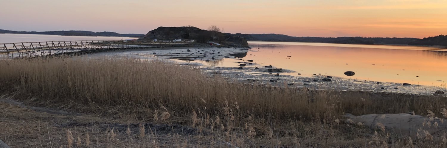 CornyIsland's profile banner image