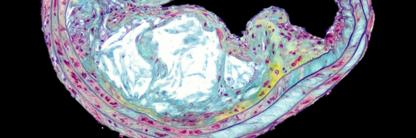 Debapriya Basu banner