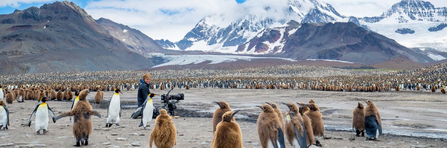 Bertie Gregory banner