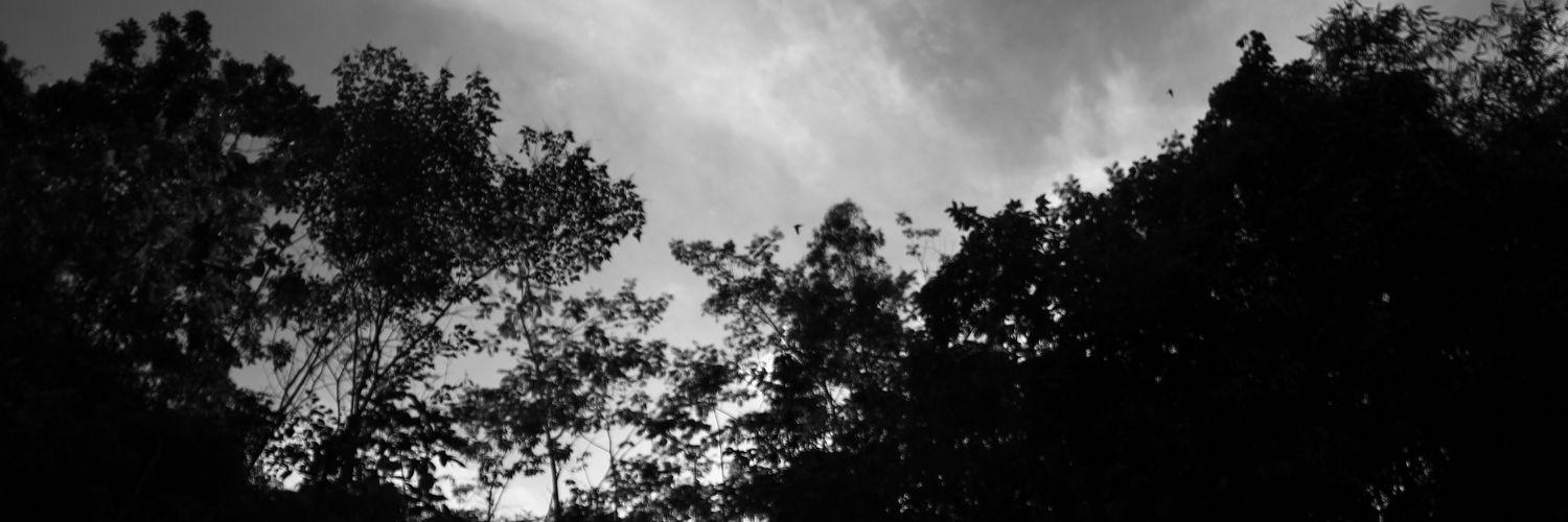 antropunpad2011's profile banner image