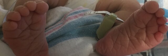 AngHKnotts's profile banner image