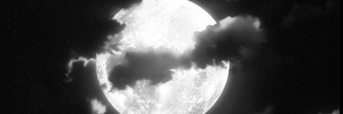 cansucany6's profile banner image