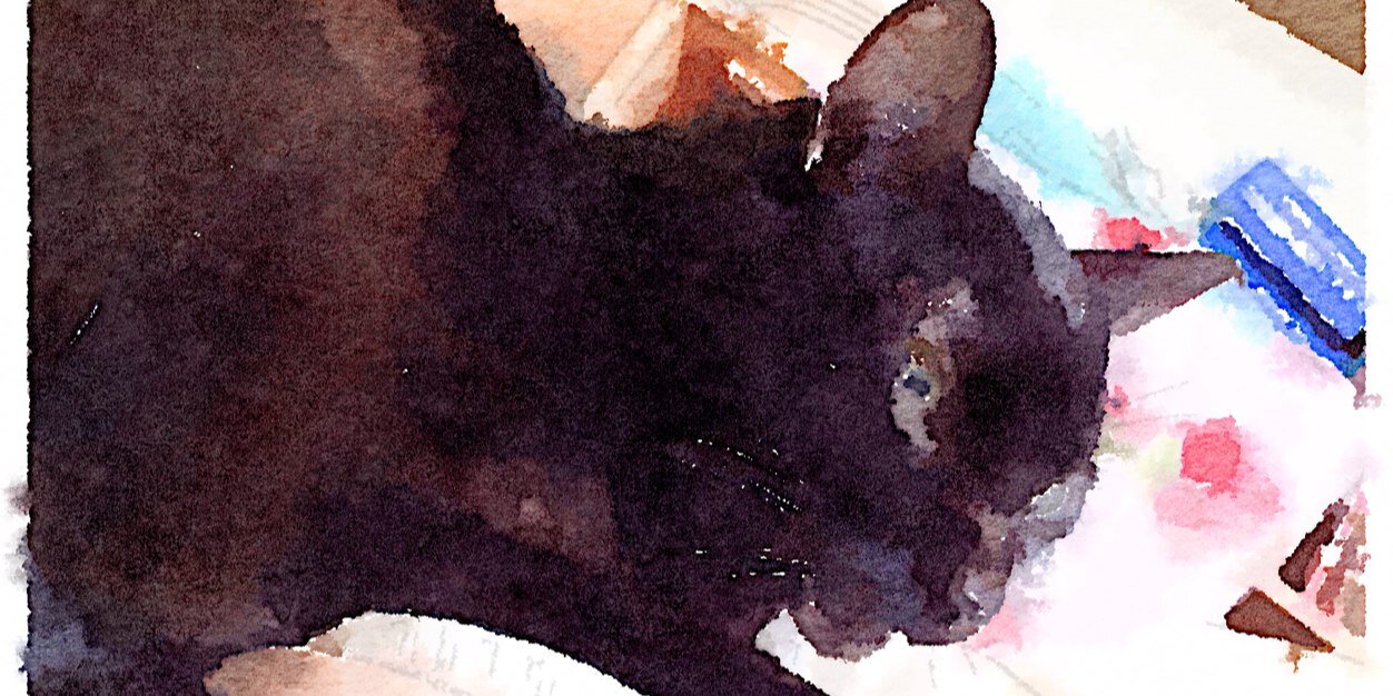_t_b's profile banner image
