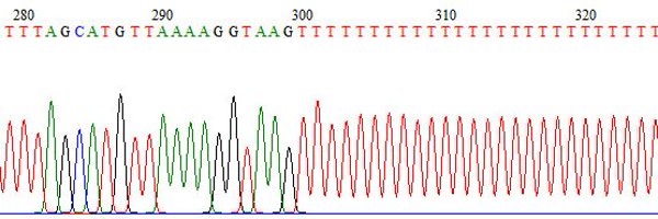 RichardsonL1Lab Profile Banner