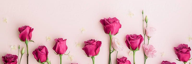 joiceabegail's profile banner image