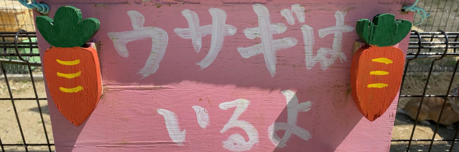ASISOR's profile banner image
