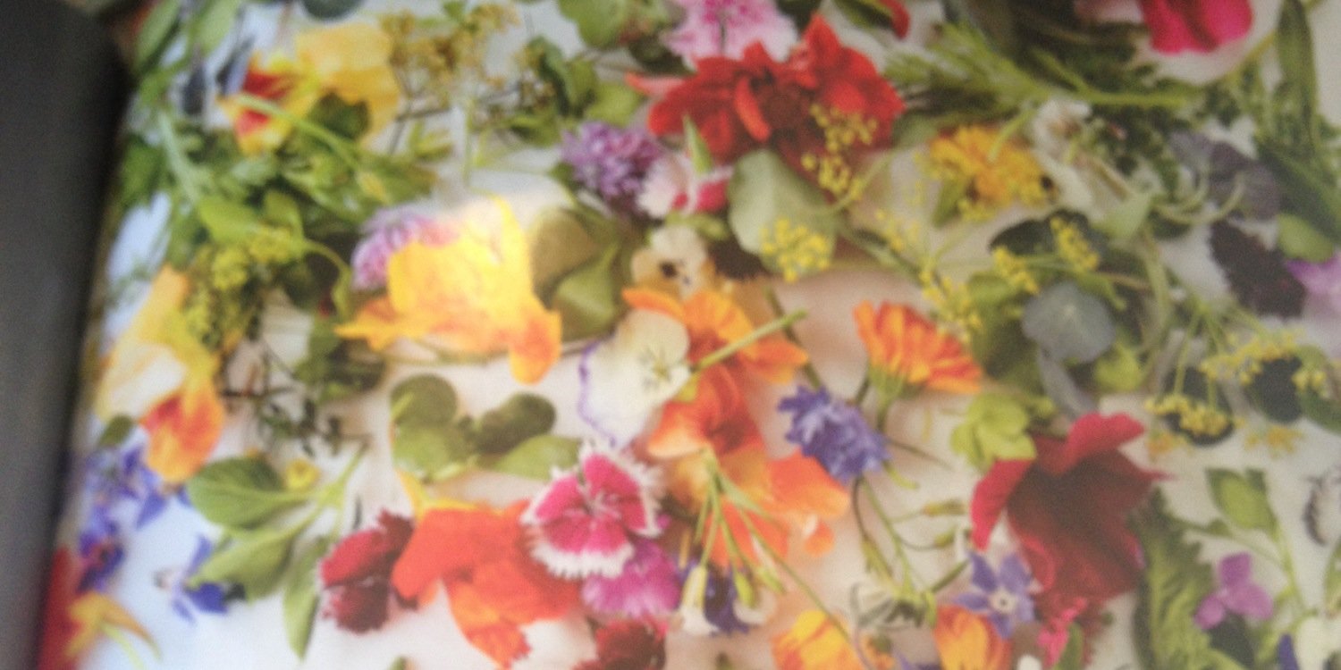 AngGwenlaisWms's profile banner image