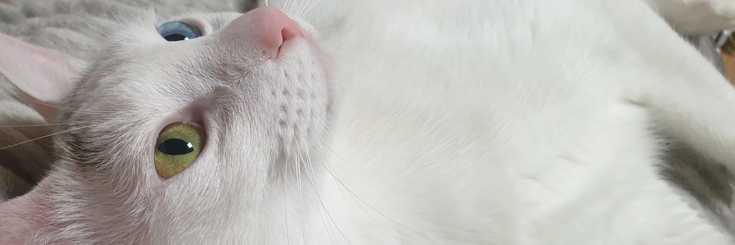cc0727's profile banner image
