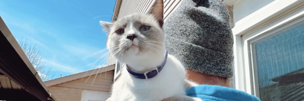 sarahay's profile banner image